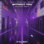Without You (Mellowdy Remix)