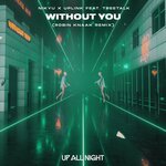 Without You (Robin Knaak Remix)