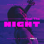 Feel The Night (Deep-House Collection), Vol 1
