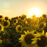 Summer Chill 001 : The Ambient Zone