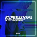 Expressions Of Future House Vol 28