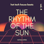 The Rhythm Of The Sun (Hot Tech House Beats), Vol 4