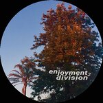 Enjoyment Division 2