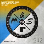 Hey Baby (Milk & Sugar Extended Edit)