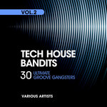 Tech House Bandits (30 Ultimate Groove Gangsters), Vol 2