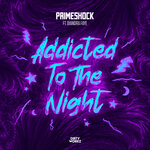 Addicted To The Night (Extended Mix)