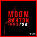 Moombahton Grooves & Vocals (Sample Pack WAV)