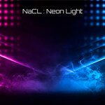 Neon Light (Extended Mix)