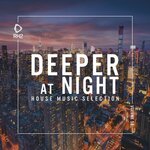 Deeper At Night Vol 58