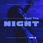 Feel The Night (Deep-House Collection), Vol 3