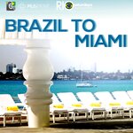 Brazil To Miami