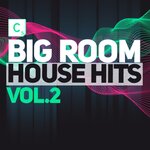 Big Room House (Vol 2)