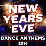 New Years Eve 2014 Dance Party (unmixed tracks)