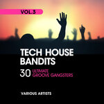 Tech House Bandits (30 Ultimate Groove Gangsters), Vol 3