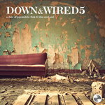 Down & Wired 5