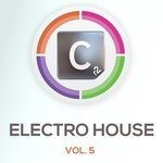 Electro House Vol 5