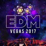 EDM Vegas 2017