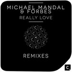 Really Love (Remixes)