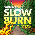 Slow Burn (feat. Jacob Hemphill Of SOJA)