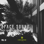Space Sound Vol 12 (Best Culture Club Songs)