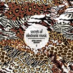 Secrets Of Electronic Music: Afro House Edition Vol 9