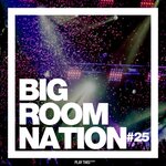 Big Room Nation Vol 25