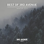Best Of 3rd Avenue (Winter 2021)