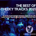 The Best Of Cheeky Tracks 2021