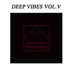 Deep Vibes Vol V