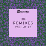 The Remixes, Vol 29