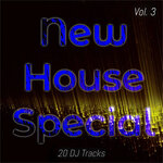 New House Special, Vol 3 (20 Special House Tracks)