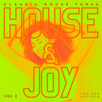 House And Joy (Classic House Tunes), Vol 2