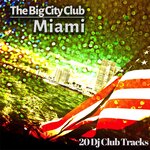 The Big City Club: Miami - 20 DJ Club Mix