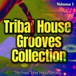 Tribal House Grooves Collection Vol 1 - The Finest Tribal House Grooves
