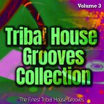 Tribal House Grooves Collection Vol 3 - The Finest Tribal House Grooves