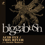 Acid Fly/This River