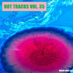 Hot Tracks Vol 35
