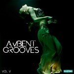 Ambient Grooves, Vol 5