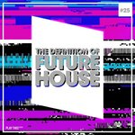 The Definition Of Future House Vol 25
