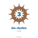 Bio Rhythm 3: Re-indulge