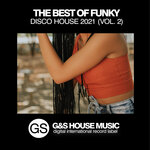 The Best Of Funky Disco House 2021, Vol 2