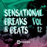 Sensational Breaks & Beats, Vol 12
