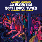 40 Essential Soft House Tunes