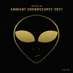 The Best Of Ambient Soundscapes 2021