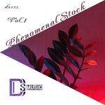 Phenomenal Stock, Vol 1