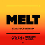 Melt (Sammy Porter Remix)
