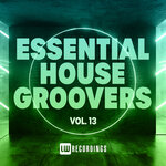 Essential House Groovers, Vol 13