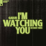 I'm Watching You (So Many Times) (Extended Mix)