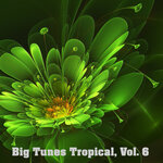 Big Tunes Tropical, Vol 6