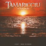 Tamaricciu